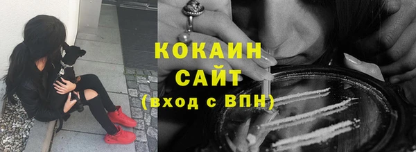 спиды Елизово
