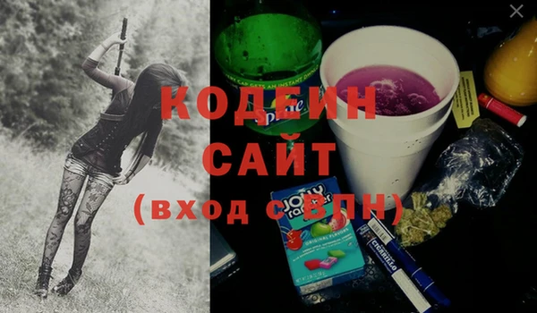 спиды Елизово