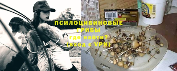 спиды Елизово